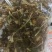 松花菜干