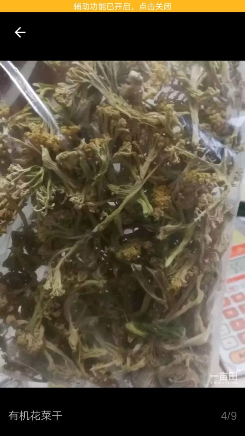 松花菜干