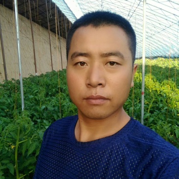 黄瓜，青椒，豆角，供应