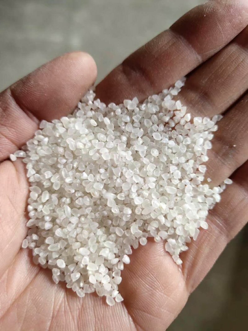 碎大米食用级抛光色选米东北大米