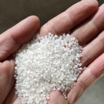碎大米食用级抛光色选米东北大米
