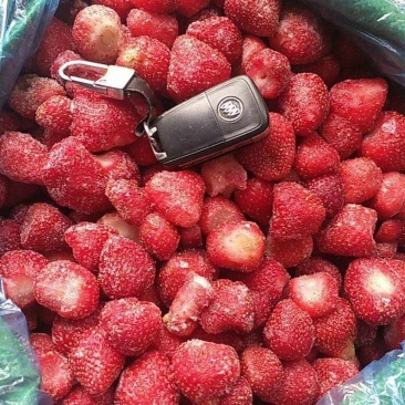 草莓🍓（速冻）
