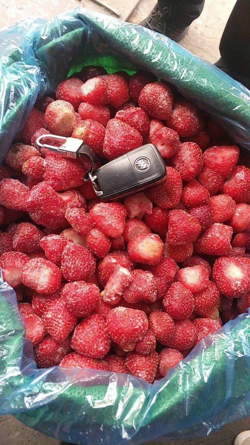 草莓🍓（速冻）