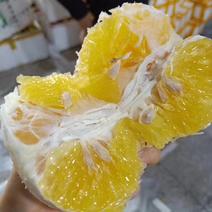 【有好货】台湾甜葡萄柚【5斤装29.9元】一件