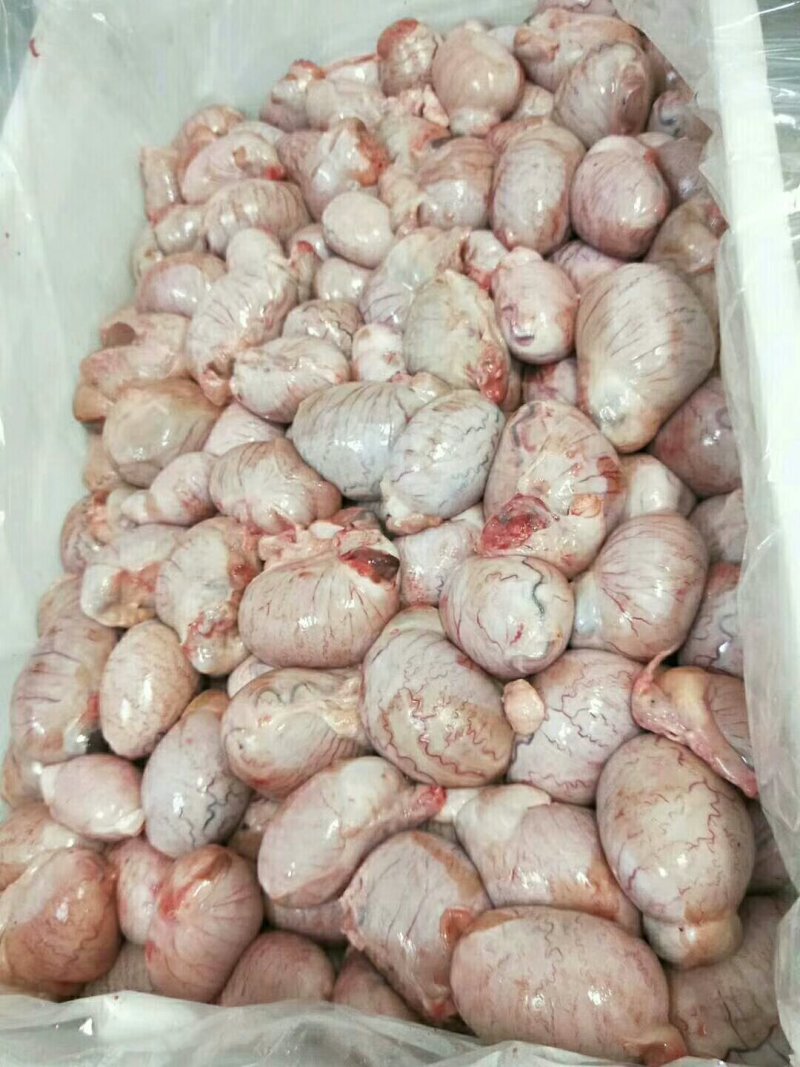驴肉请选购优质驴肉马肉板肠下水