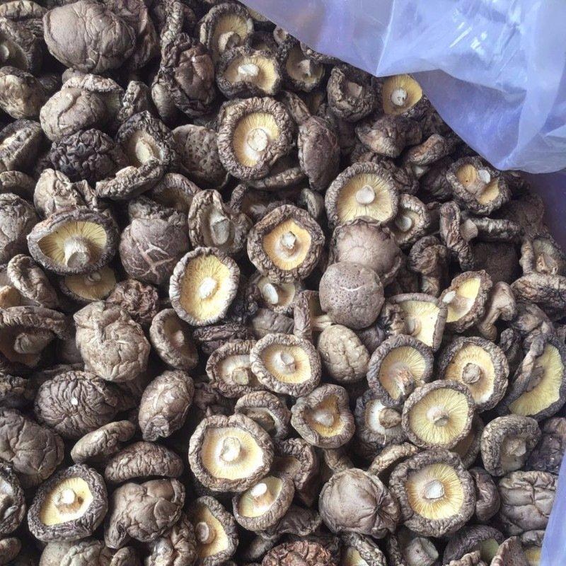 新货河南香菇产地直销干香菇香菇干货500g