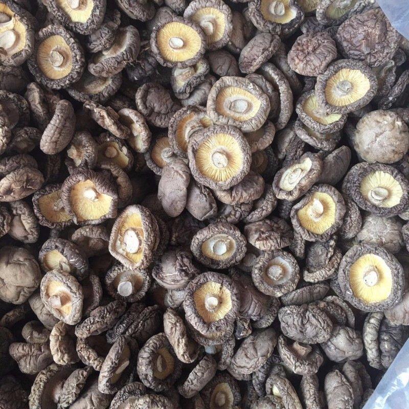 新货河南香菇产地直销干香菇香菇干货500g