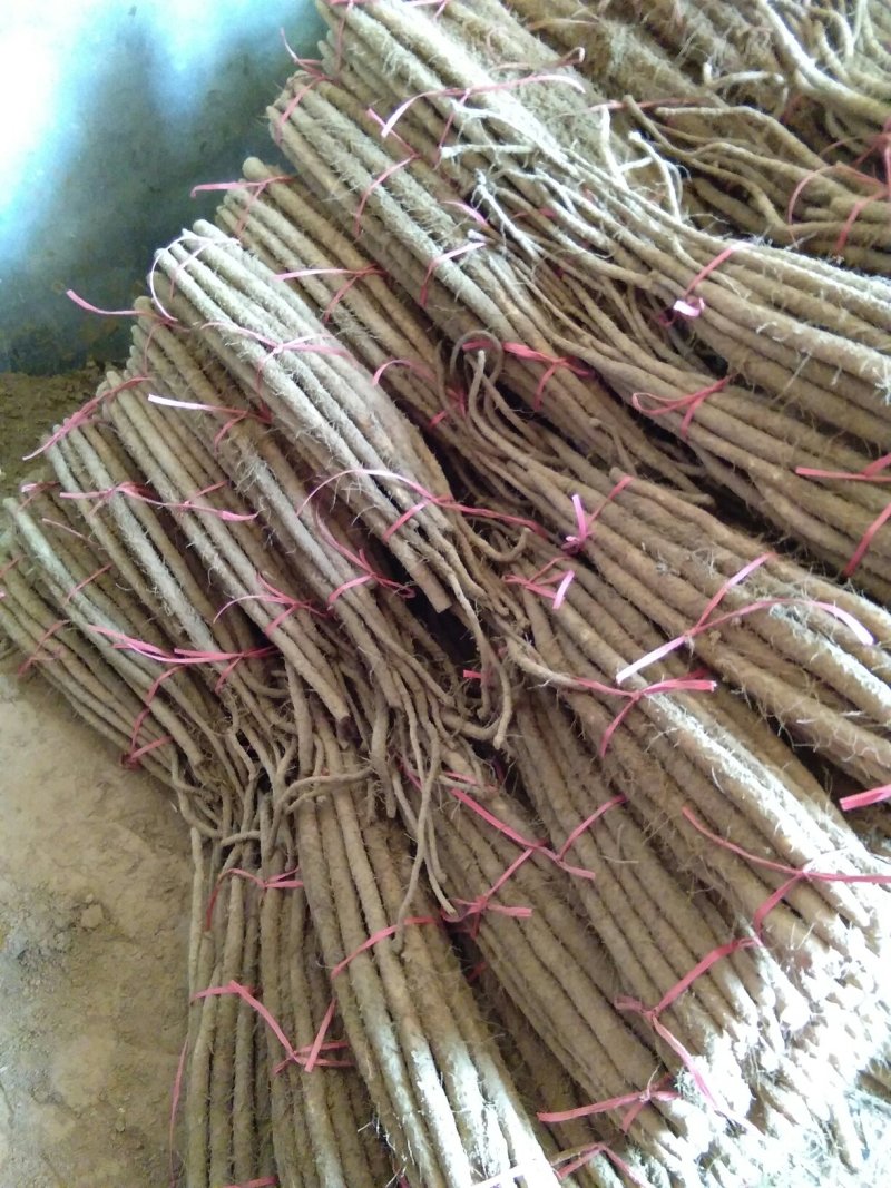 铁棍山药