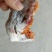 万荣柿饼