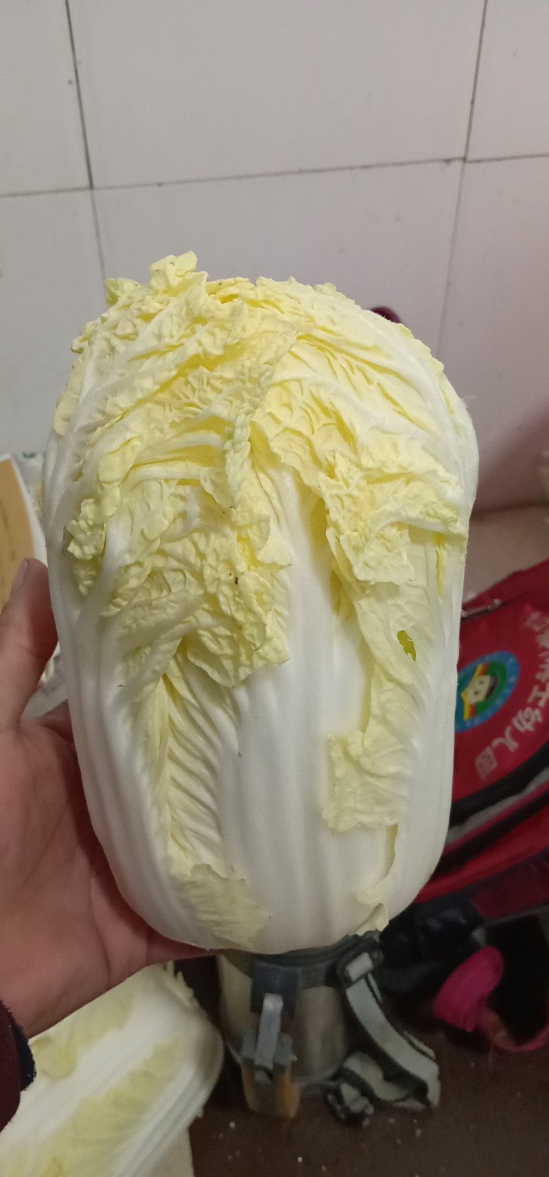 娃娃菜，产地直供，代发全国，诚信经营。精品娃娃菜。