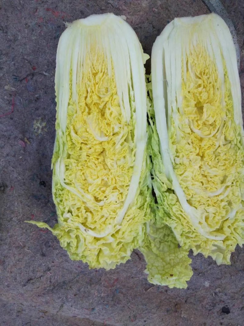娃娃菜，产地直供，代发全国，诚信经营。精品娃娃菜。
