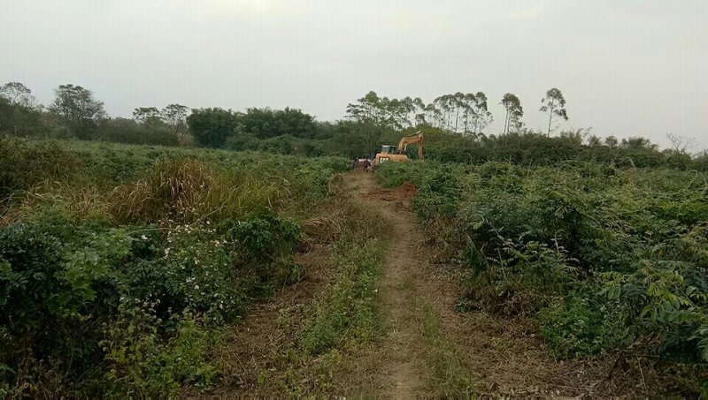 中药材