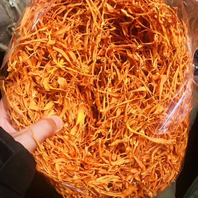 虫草花