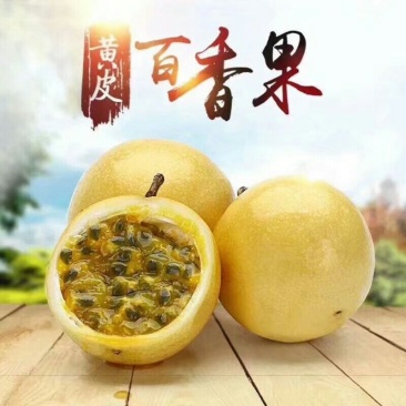 黄金百香果苗