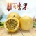黄金百香果苗