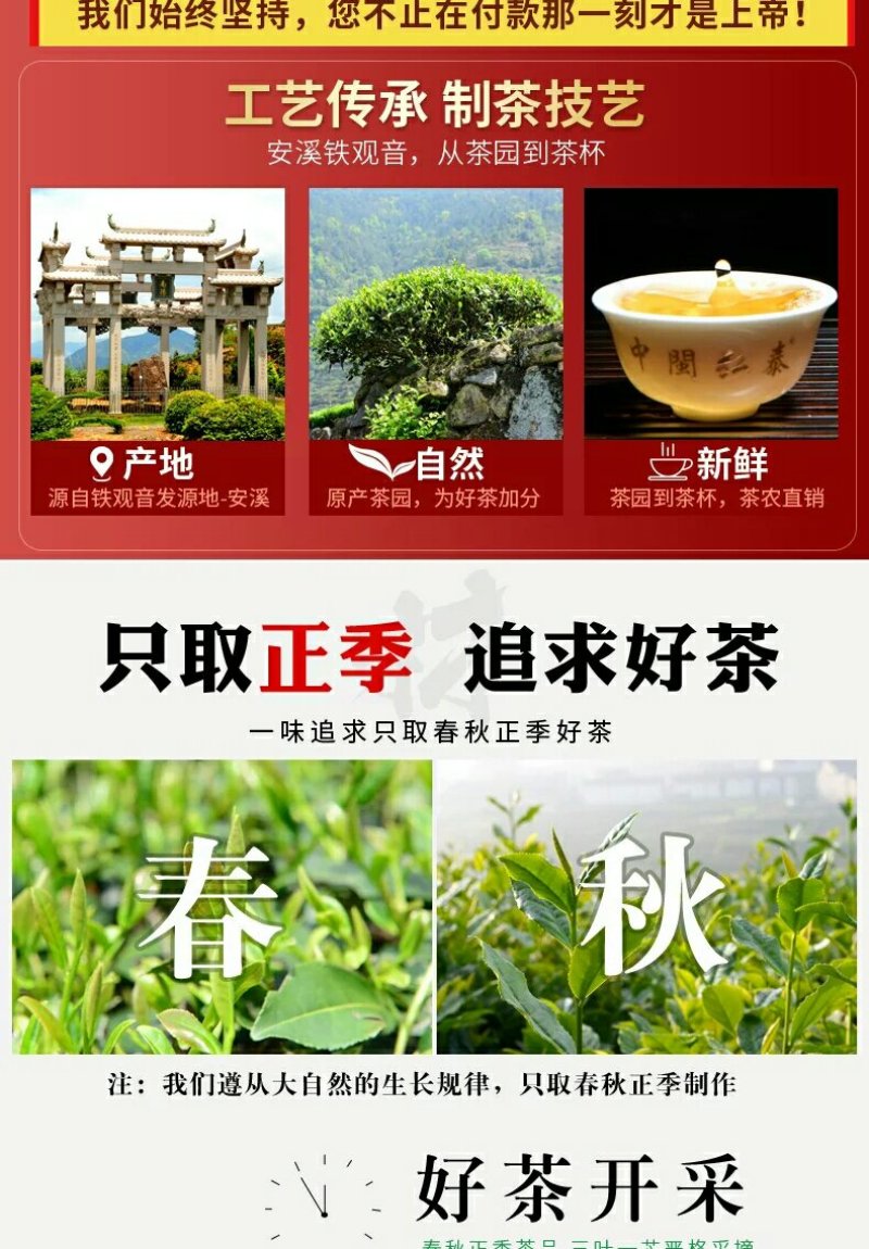 高山清香绿叶镶红边口齿留香250g/✘2盒500g
