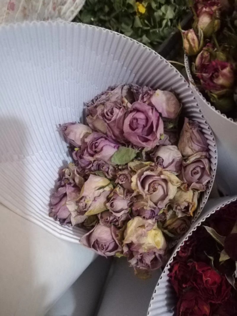 云南鲜花四季开不败