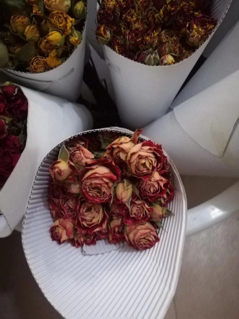 云南鲜花四季开不败
