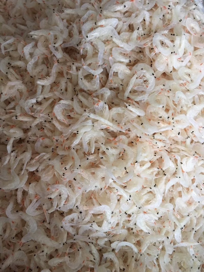 野生虾米虾皮