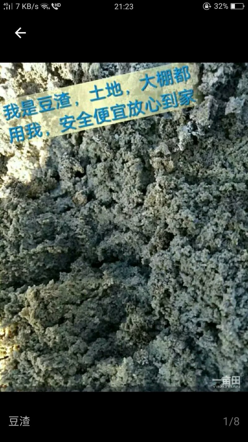 豆渣上棚