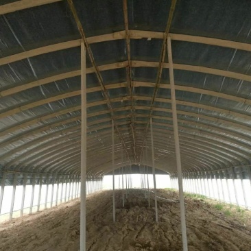 承建各种温室大棚