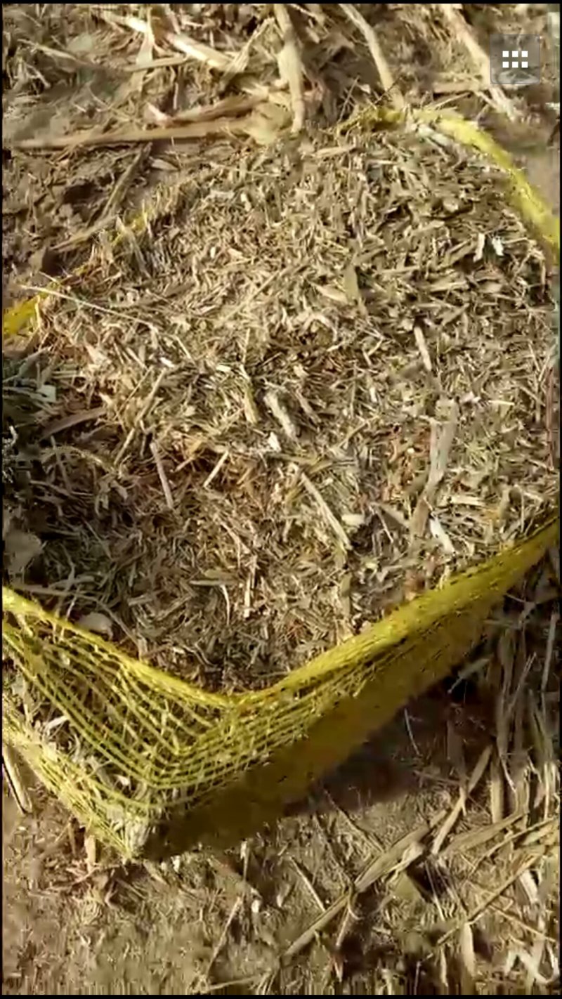 秸秆