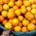 伦晚脐橙大量上市，精品货源，欢迎各地客商前来订购