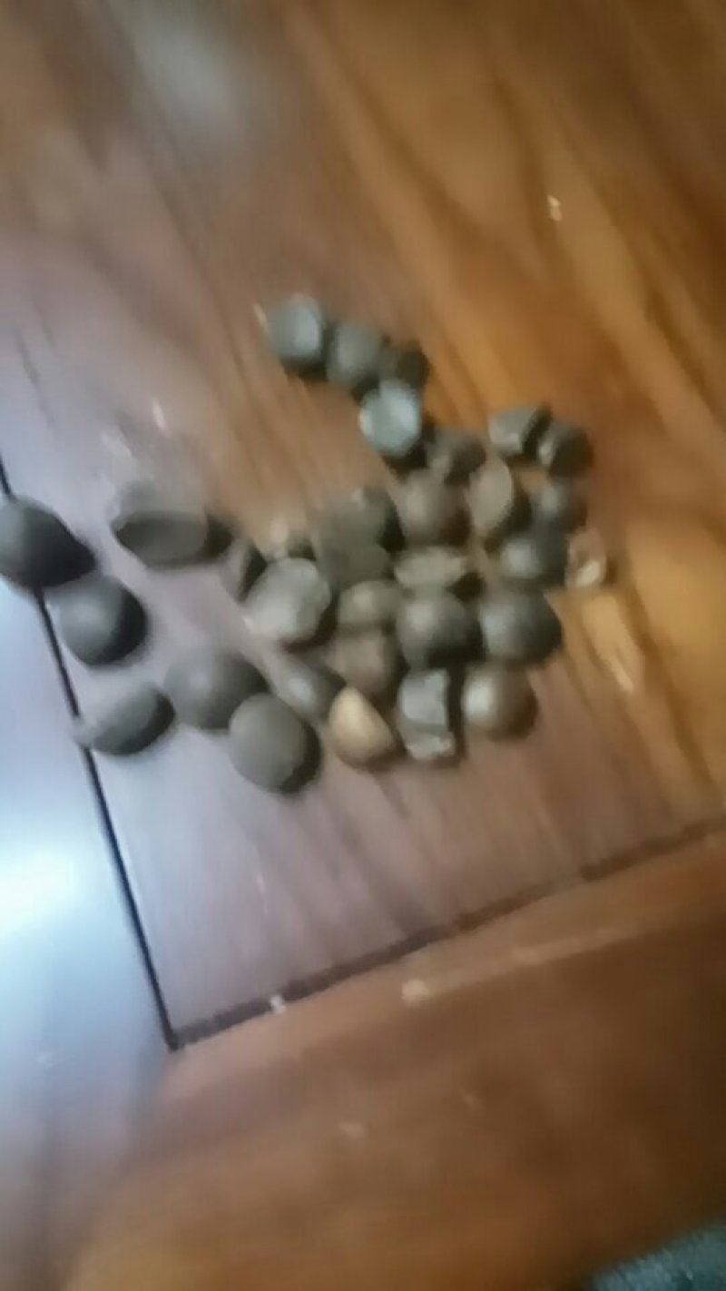 供应干油茶子