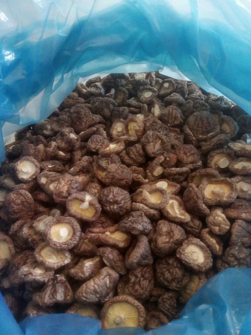 干香菇