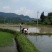 黔宝出山