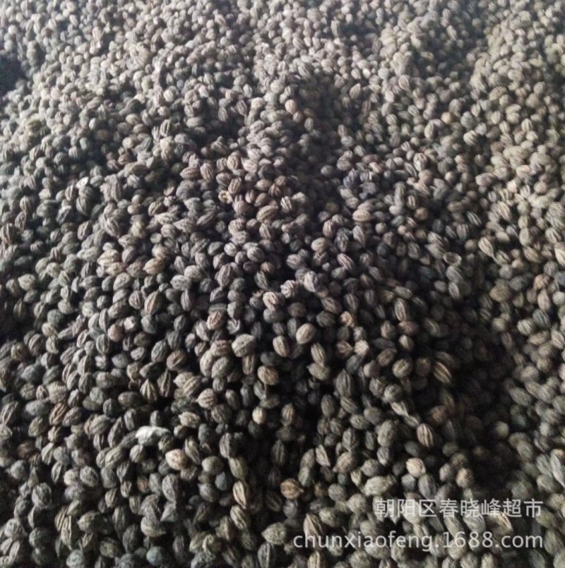 东北野生山核桃，厚皮秋子核桃，陈核桃，大量批发1元