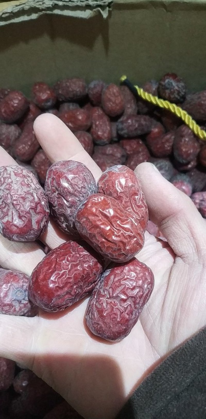 阿克苏灰枣通货若羌灰枣超特