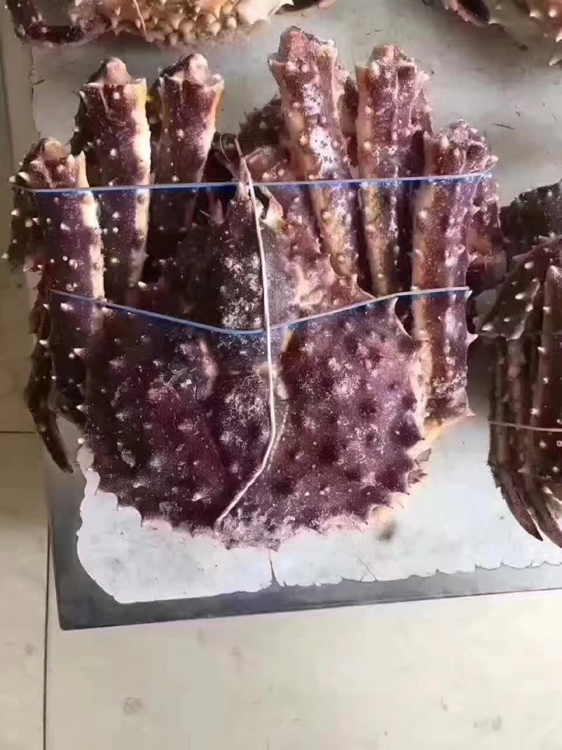 帝王蟹