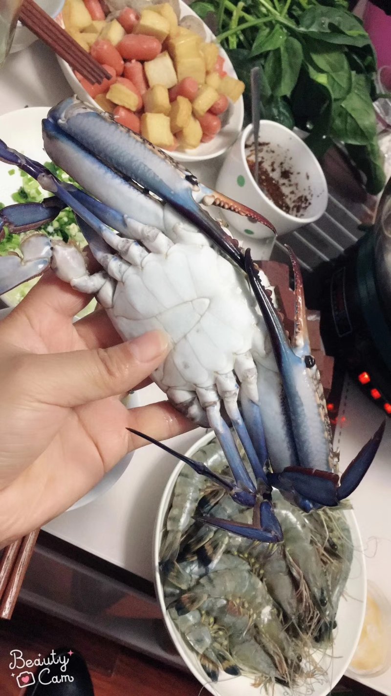 远洋梭子蟹