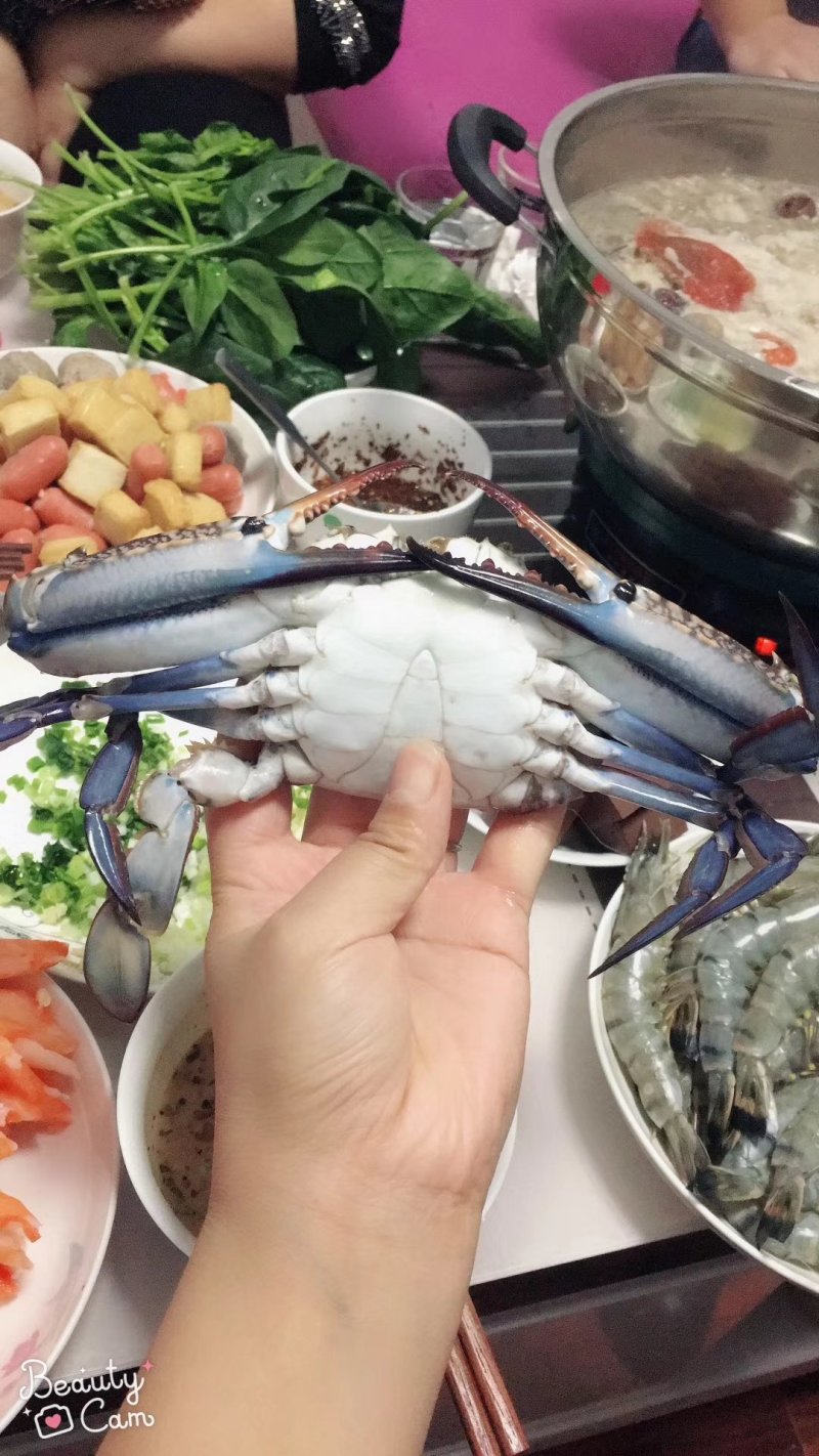 远洋梭子蟹