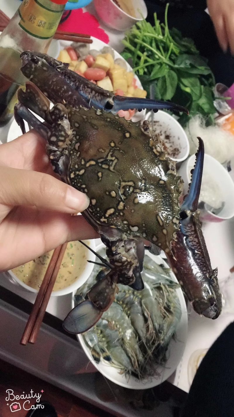 远洋梭子蟹