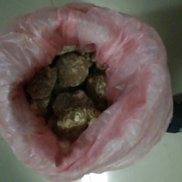 草木灰碱植物碱大树碱面碱粽子碱