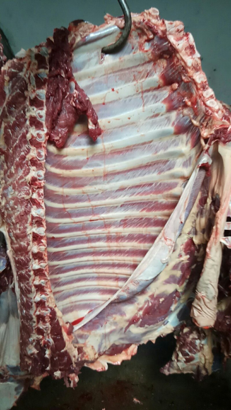 正宗驴肉，带皮驴肉，五分体带骨白条，驴副产品