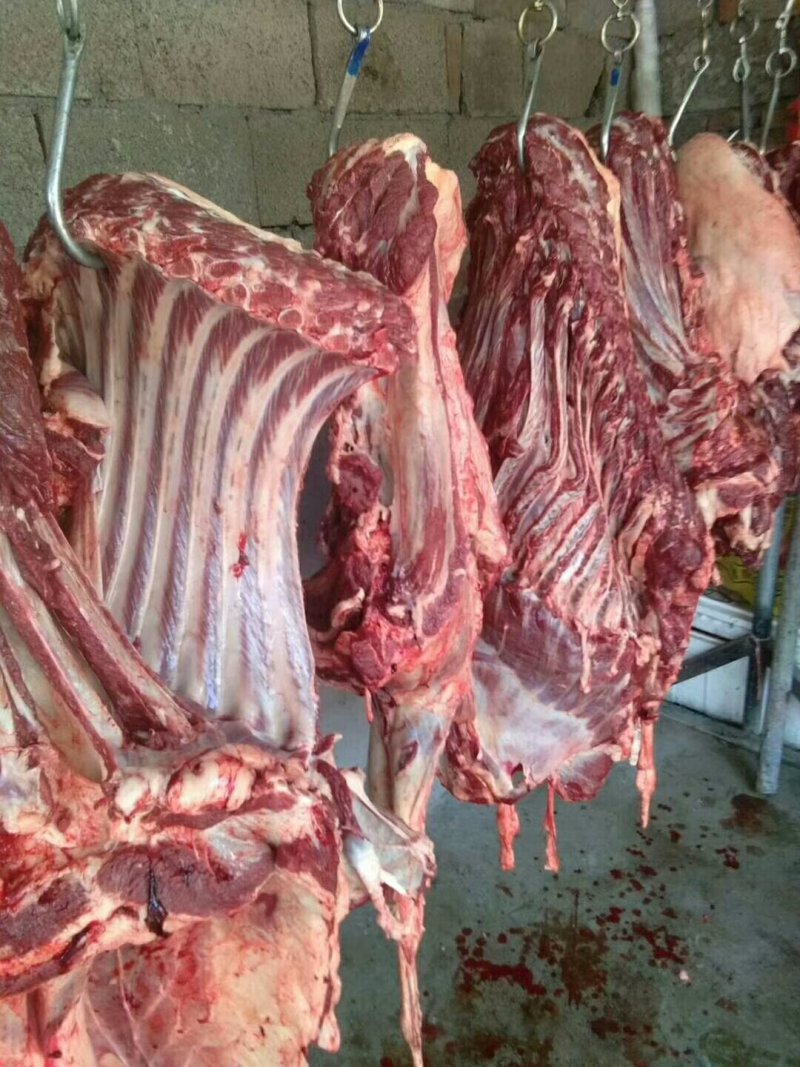 正宗驴肉，带皮驴肉，五分体带骨白条，驴副产品
