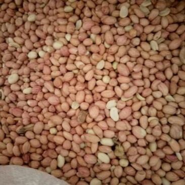 各类花生米，
