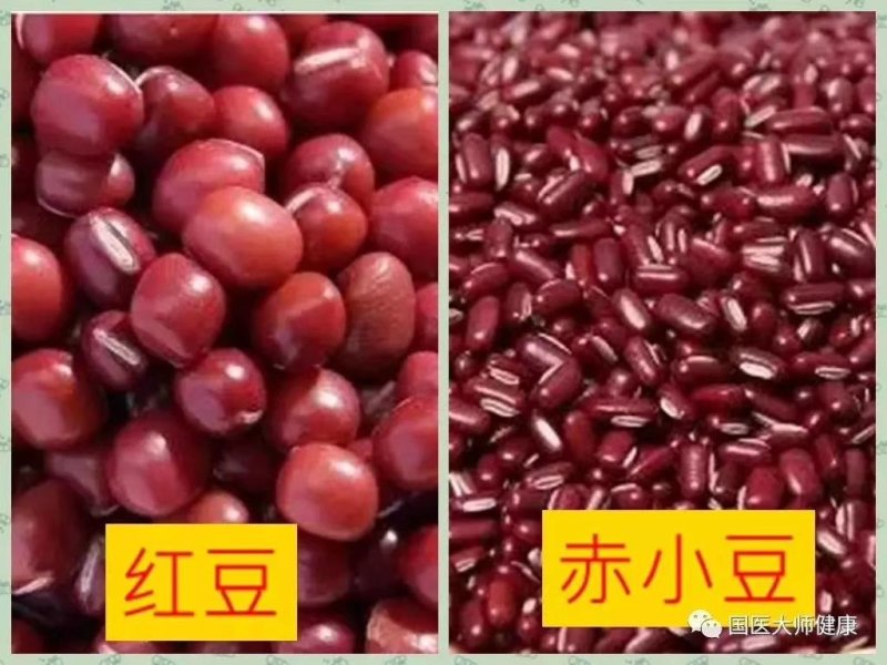 赤小豆