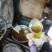 野生山茶油、茶油饼