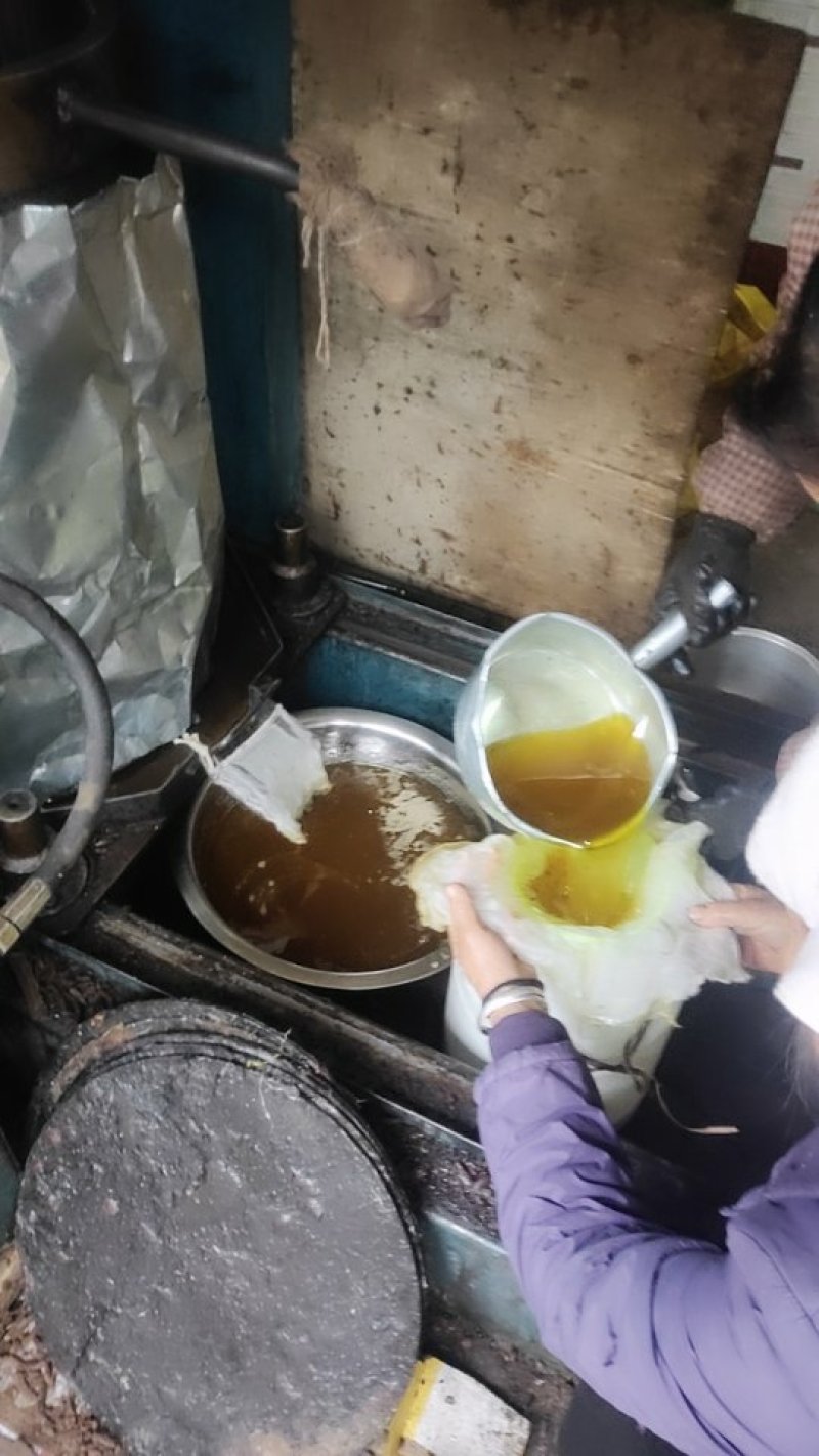 野生山茶油、茶油饼