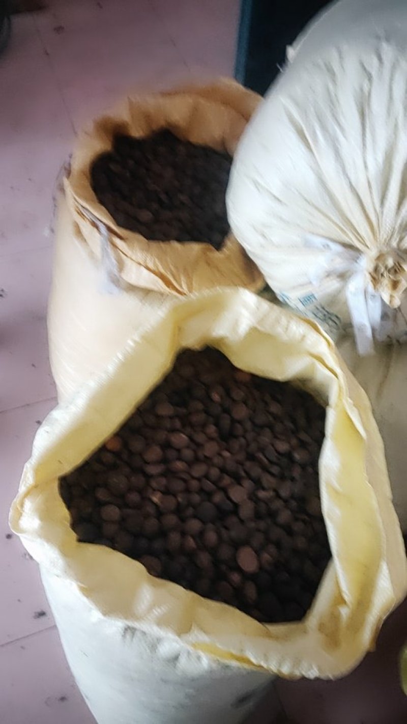 野生山茶油、茶油饼