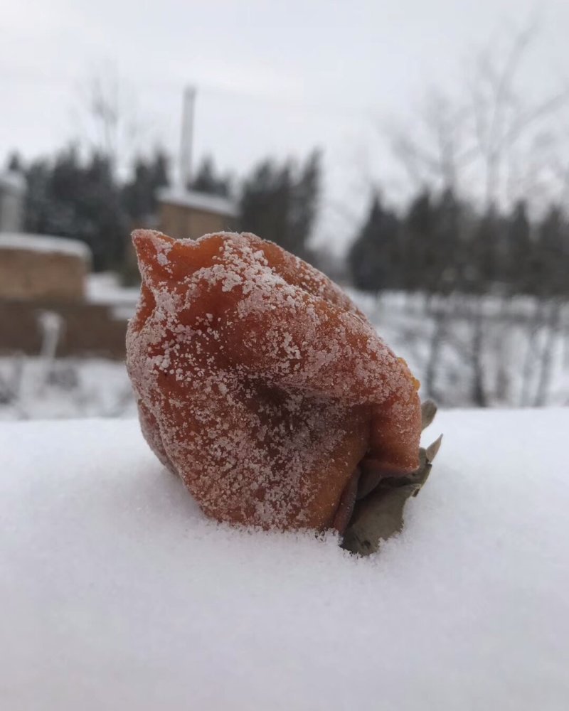 柿饼