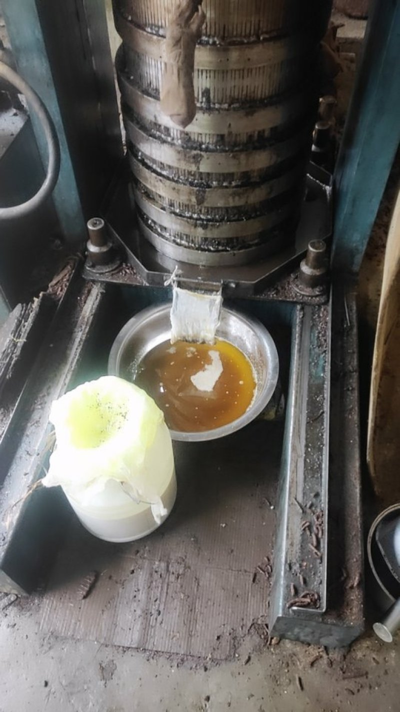山茶油，茶油饼