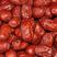 红枣一级亮度高质量高大量产直销规格齐全价位齐全