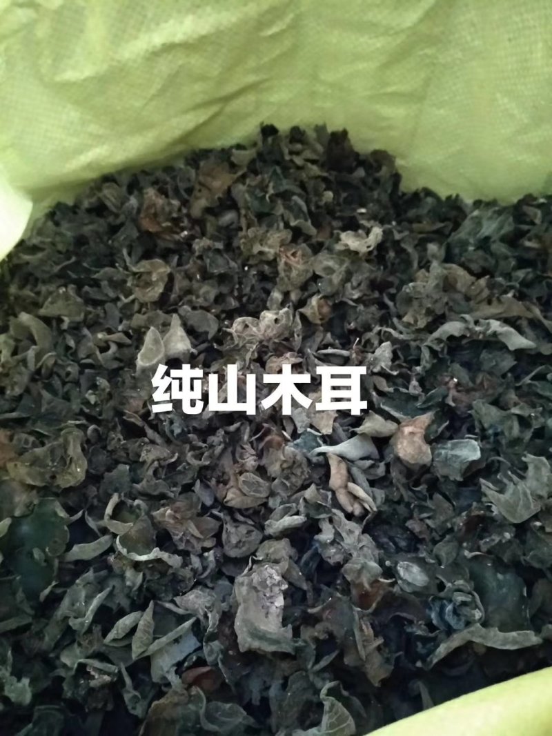 纯野生山木耳