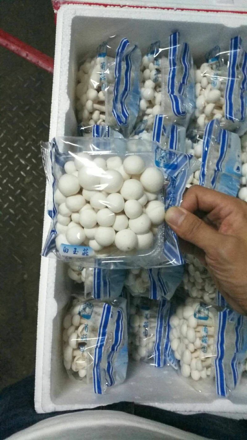 盒蟹盒白