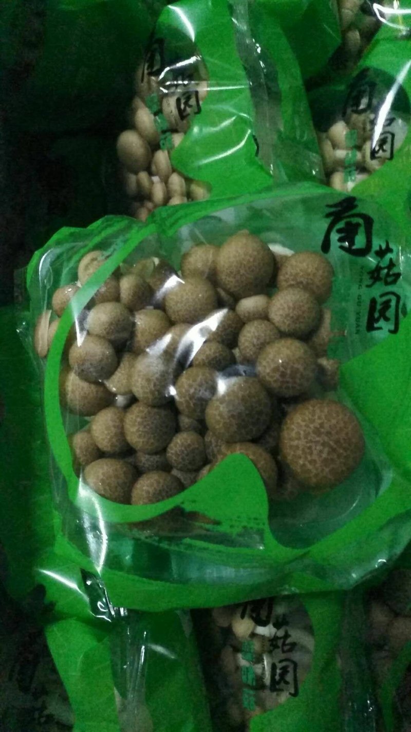 盒蟹盒白